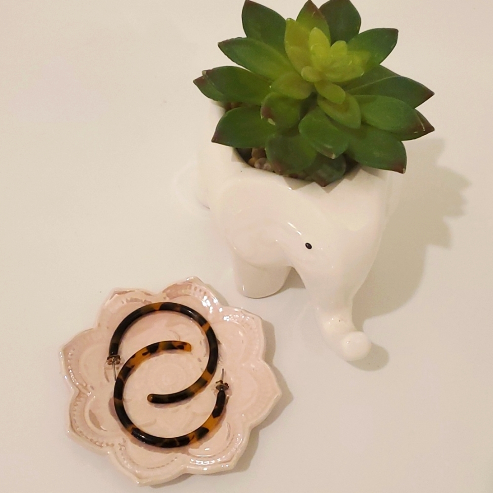 Tortoise Shell Hoop Fashion Earrings